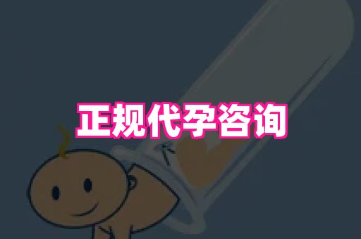 swisee孕网 2