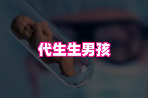 swisee孕网 3